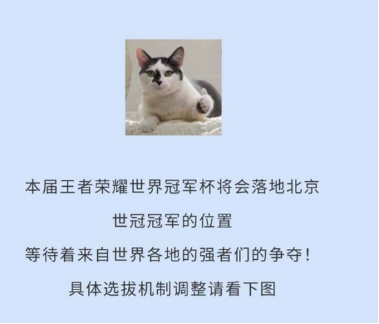 2026电竞世界杯赛程全面解析